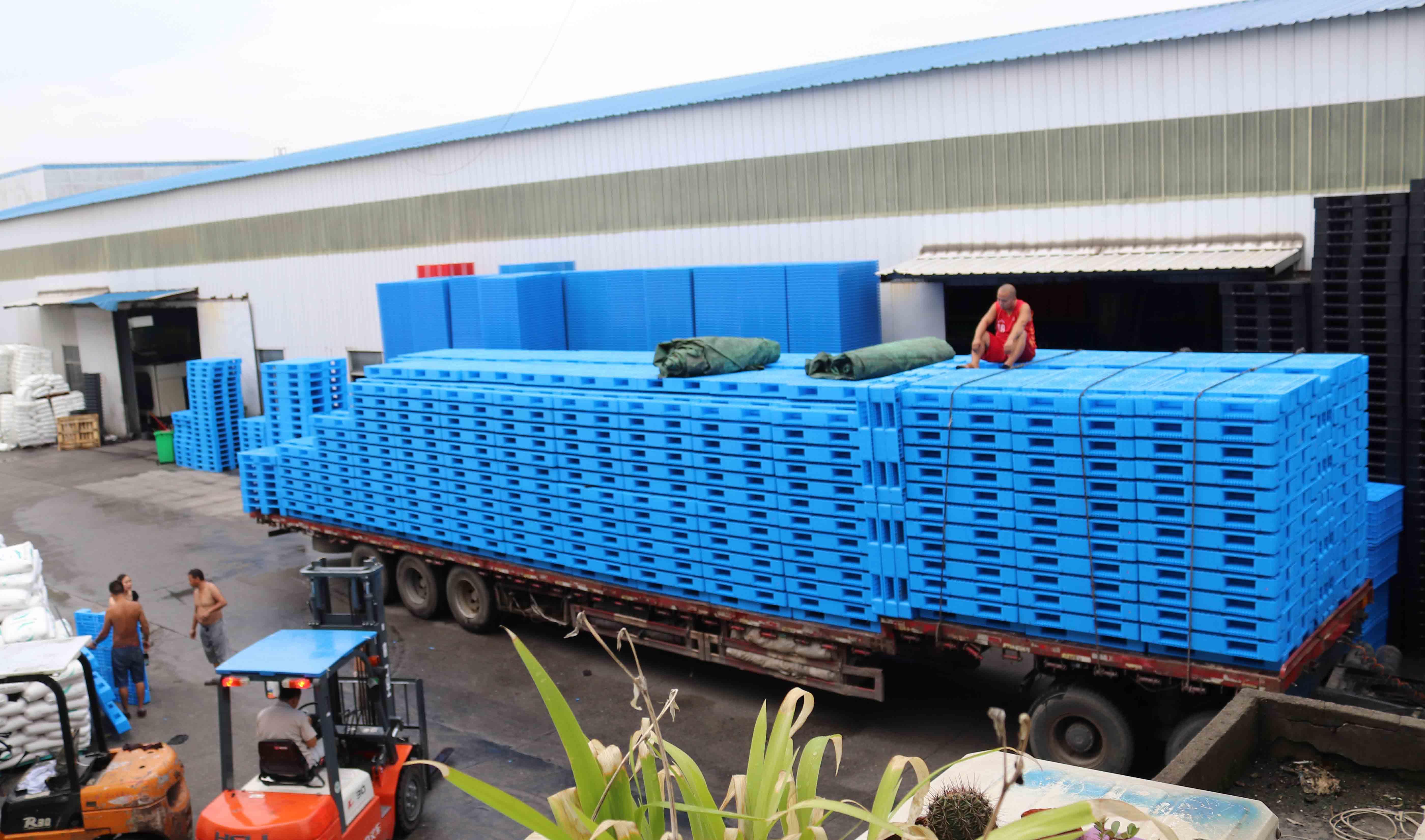 塑料托盤高考卷，你能滿分算我輸！