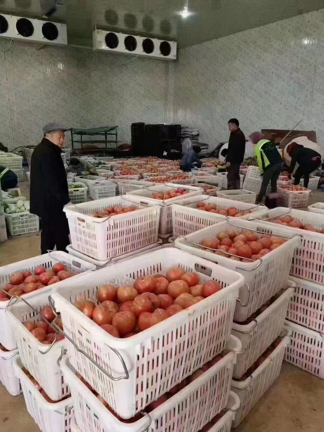 物流包裝周轉(zhuǎn)筐：供應(yīng)鏈的無聲革命者與效率基石